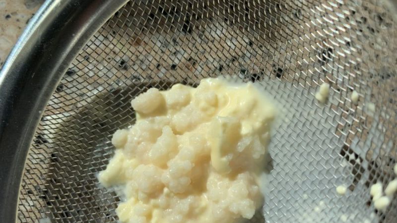 make milk kefir
