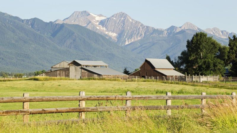 homestead farm