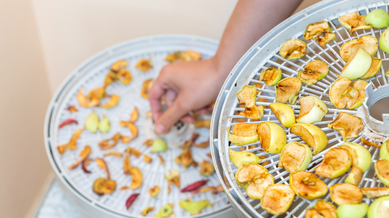 food dehydrating