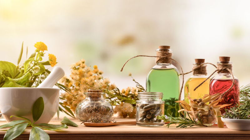 grow medicinal herbs