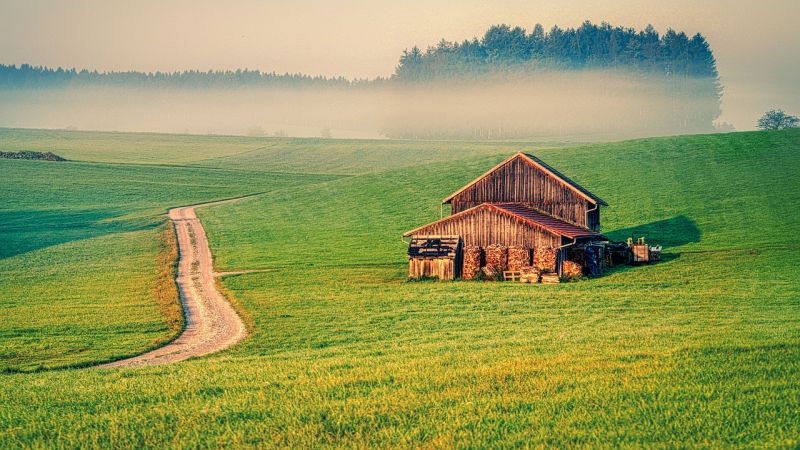 homestead land