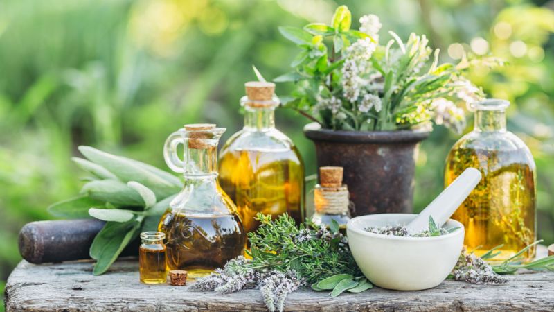 A variety of medicinal herbs sit in containers on a table.