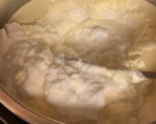 homemade yogurt, jersey milking cows yogurt