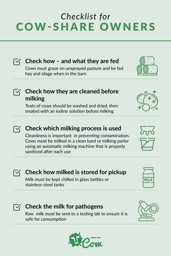 Let’s Talk About Jersey Cow Shares Jersey Milk Cow