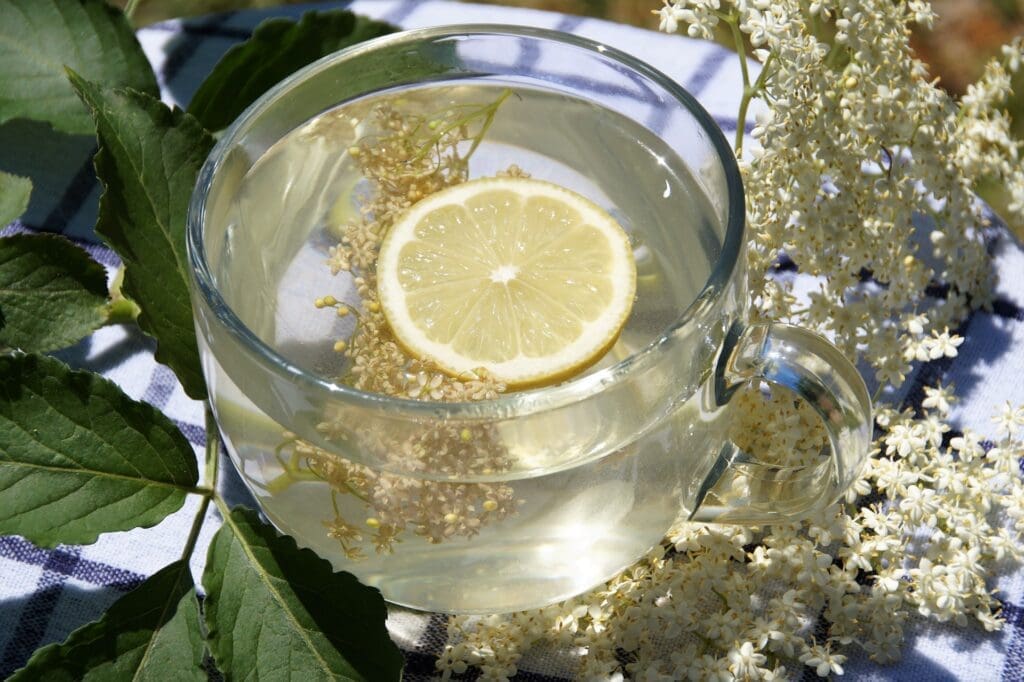elderberry syrup tea