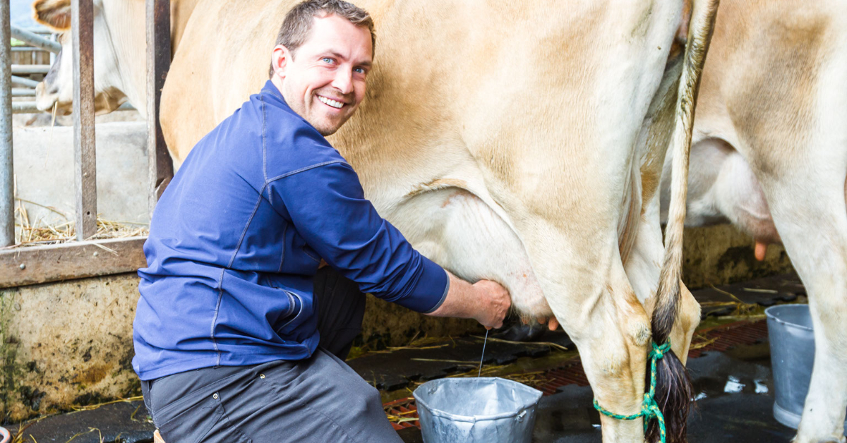 How to Freeze Raw Jersey Cow Milk | Jersey Milk Cow