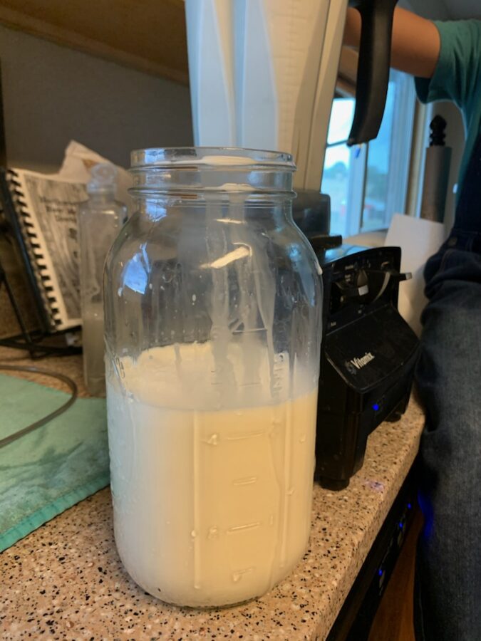 A glass jar full of raw Jersey cow milk for butter churning. 