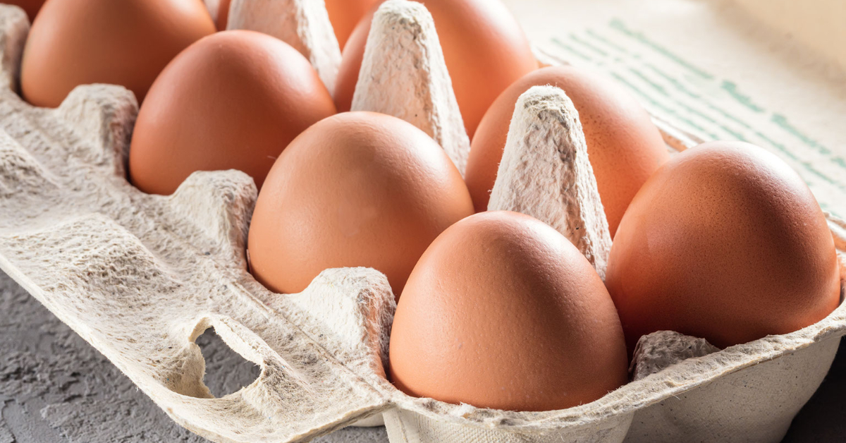 Farm Fresh Eggs 101 Everything to Know Jersey Milk Cow