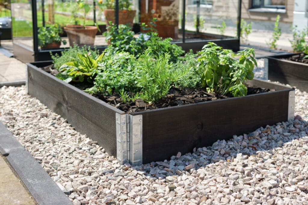 Raised garden beds used instead of a garden till to grow herbs, spices, and other plants. 