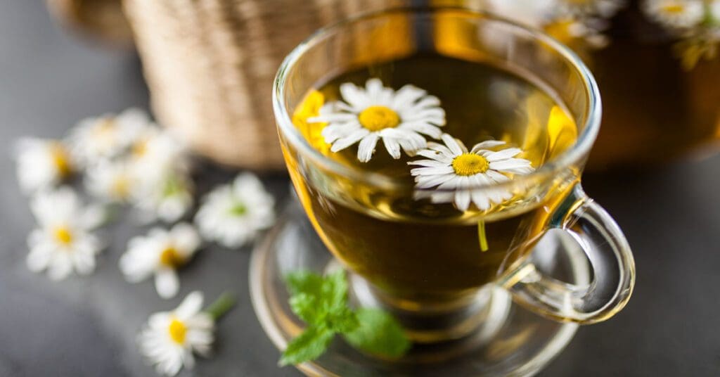 A cup of chamomile tea is surrounding by live chamomiles as part of a medicinal herbs collection. 