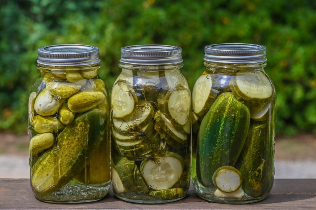 Three jars of pickles made from pickling cucumbers sit next to each other on a table. 